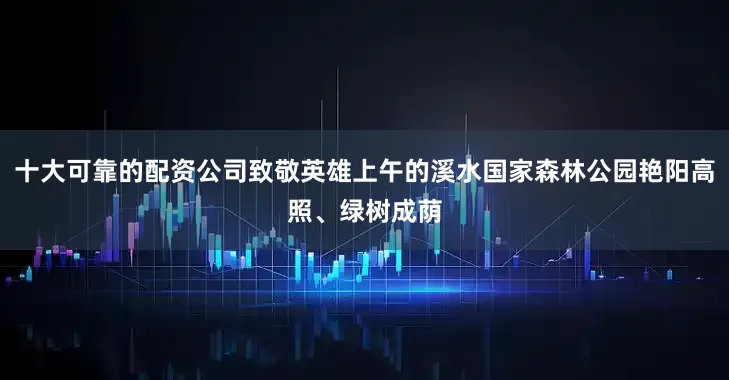 十大可靠的配资公司致敬英雄上午的溪水国家森林公园艳阳高照、绿树成荫