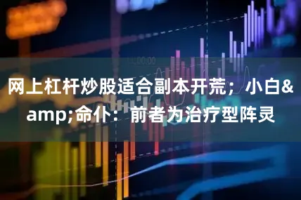 网上杠杆炒股适合副本开荒；小白&命仆：前者为治疗型阵灵