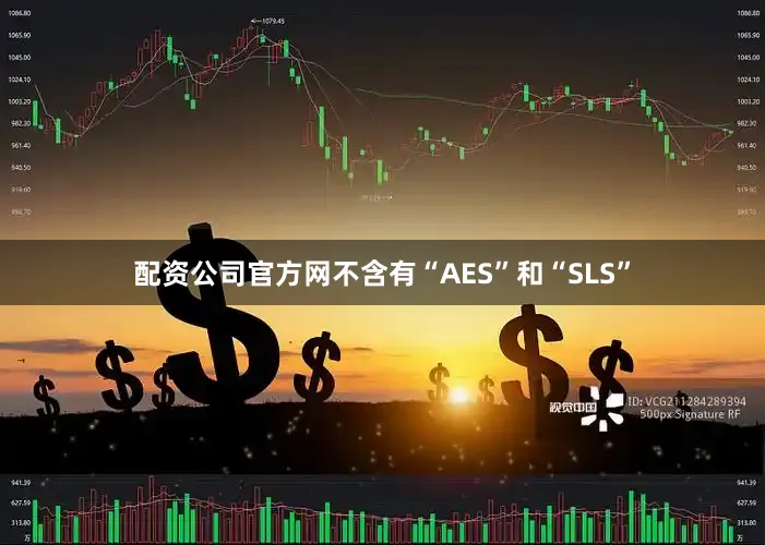 配资公司官方网不含有“AES”和“SLS”