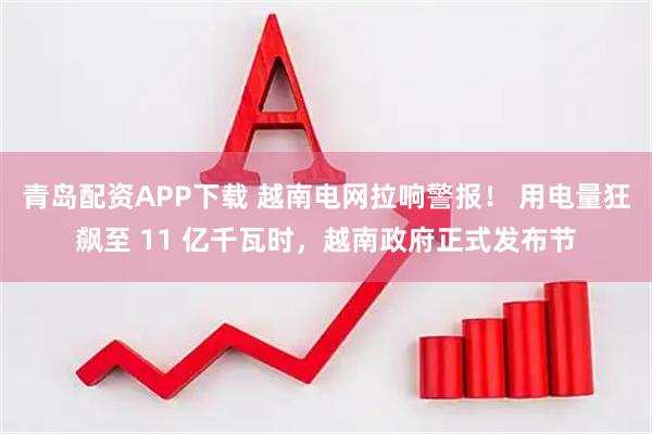 青岛配资APP下载 越南电网拉响警报！ 用电量狂飙至 11 亿千瓦时，越南政府正式发布节