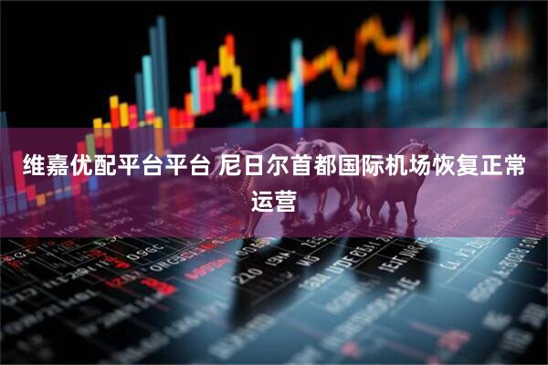 维嘉优配平台平台 尼日尔首都国际机场恢复正常运营