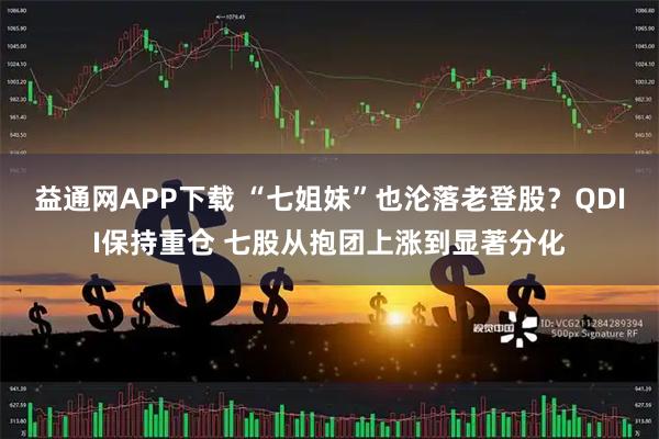 益通网APP下载 “七姐妹”也沦落老登股？QDII保持重仓 七股从抱团上涨到显著分化